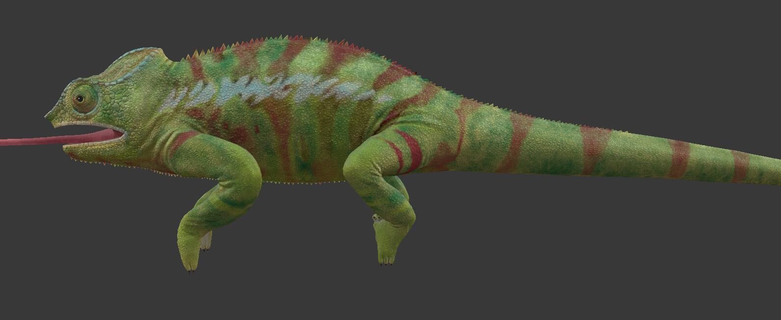 Chameleon Low-poly 3D model_1