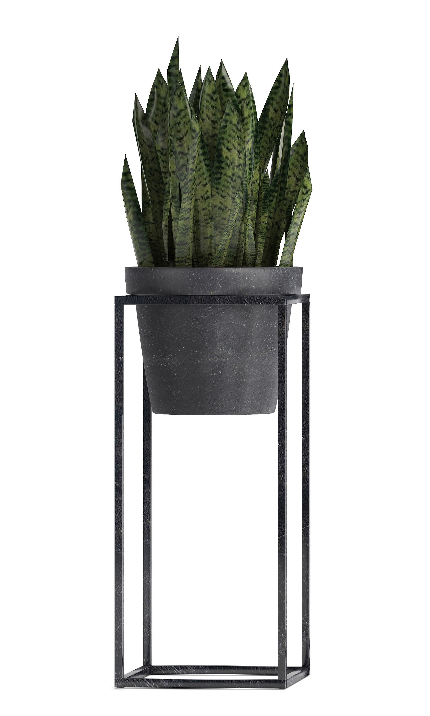  Collection Exotic plants 3D model_2