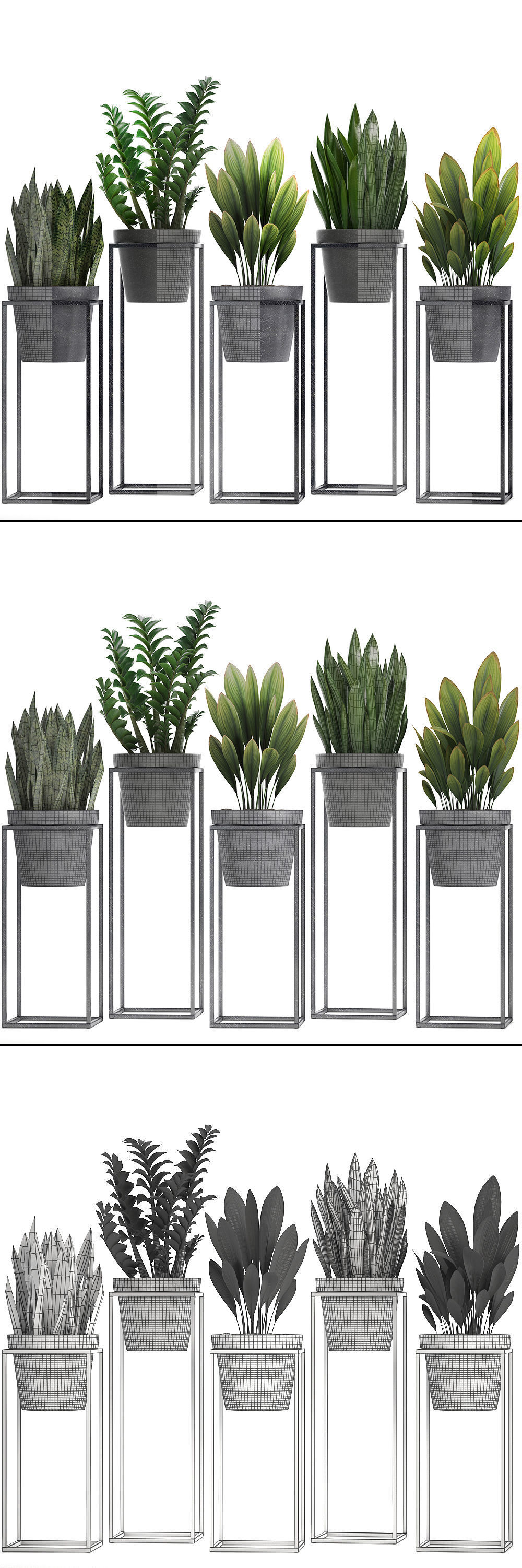  Collection Exotic plants 3D model_10