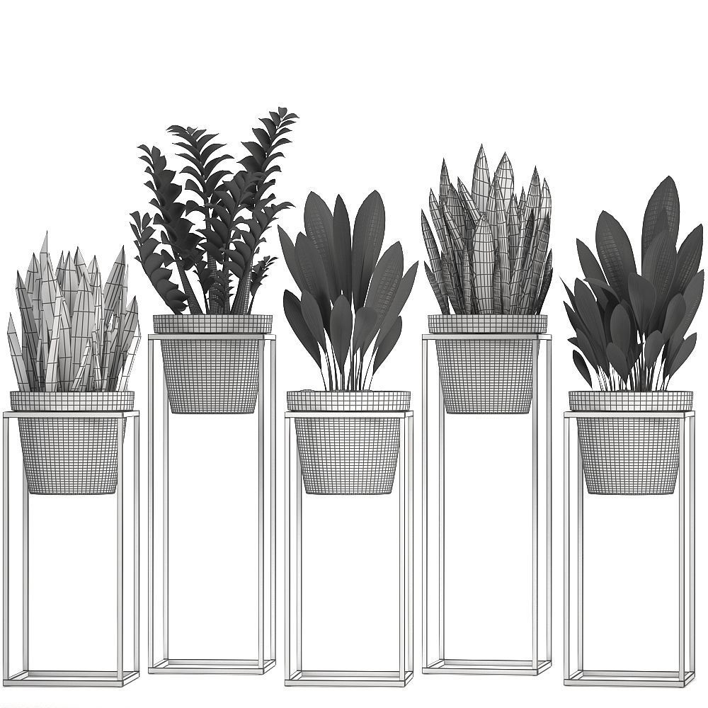  Collection Exotic plants 3D model_9