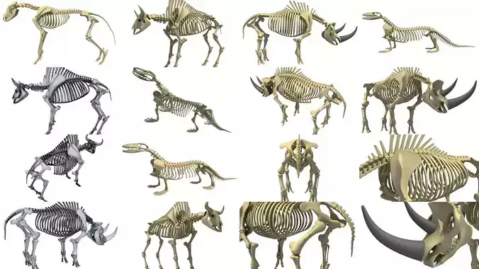 Wild Skeleton Pack 3D Model Collection