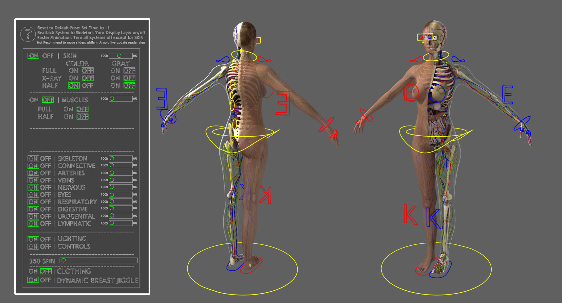 Ultimate Complete Rigged Female 3D model_6