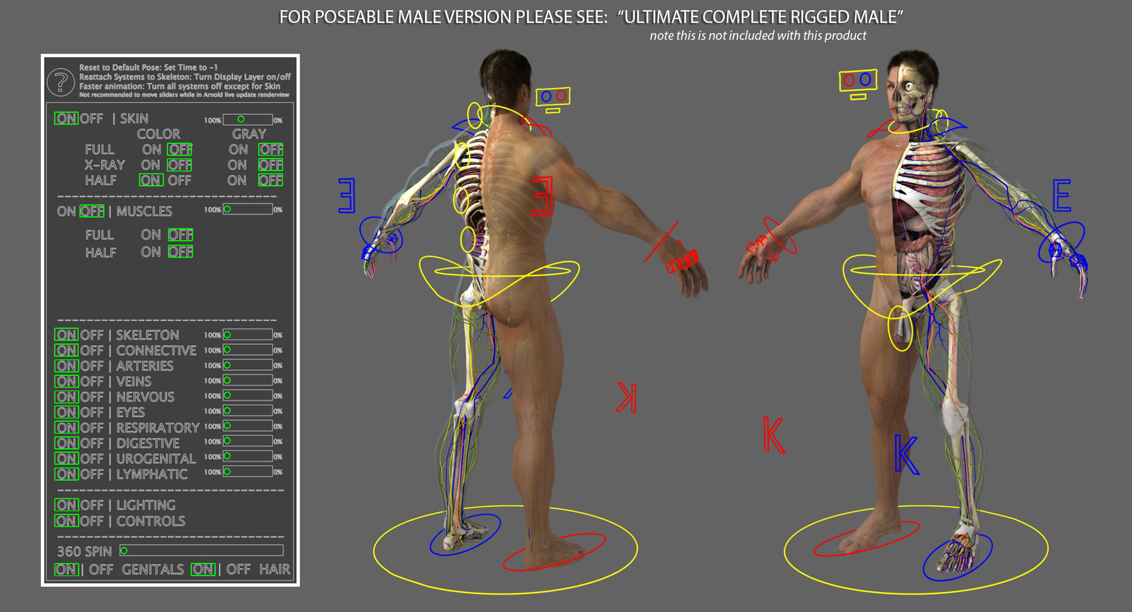 Ultimate Complete Rigged Female 3D model_36