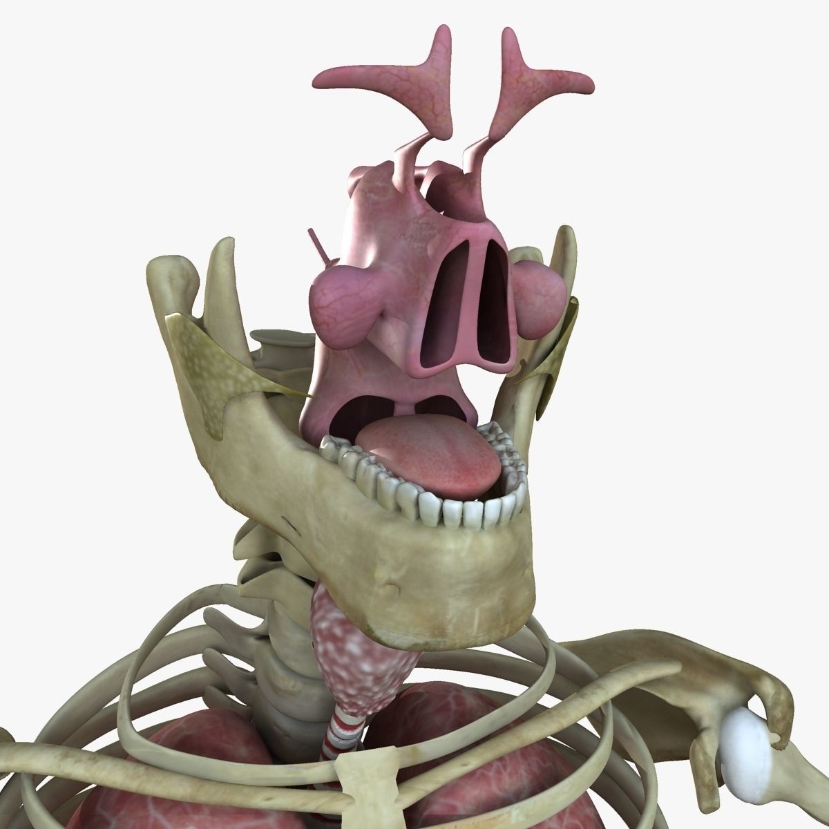 Ultimate Complete Rigged Female 3D model_25