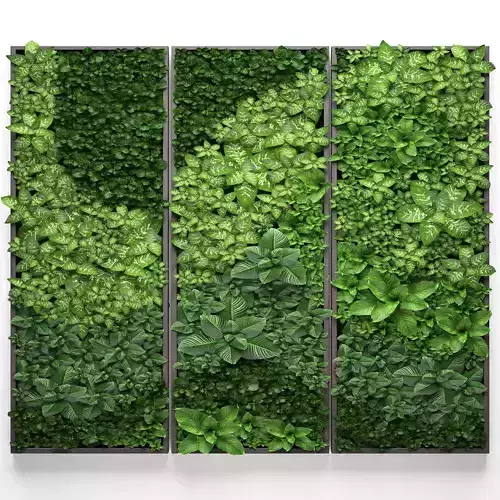  Vertical gardening
