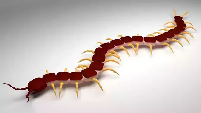 Centipede - Ciempies