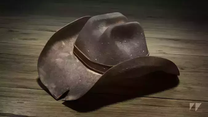 Wild West Cowboy Hat 3D model