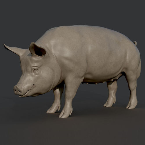 Pig Sculpture 3D print model
