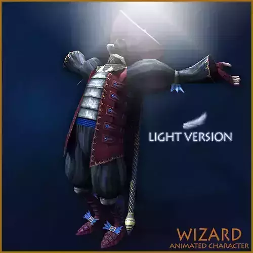 Animated Wizard Light Version Low-poly 3D model