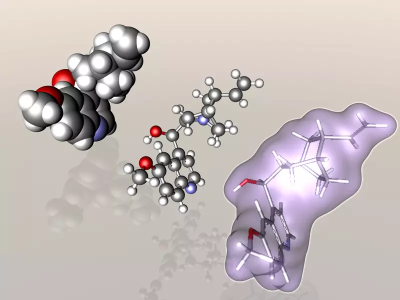 Quinine molecule 3D model_0
