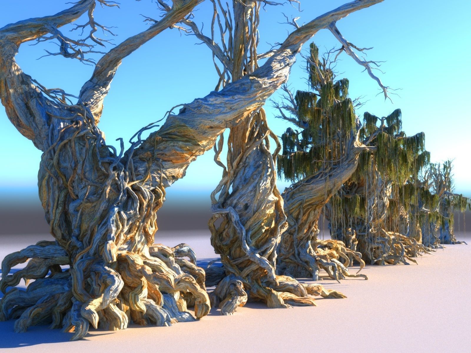 Magic Forest Pack 3D model_2