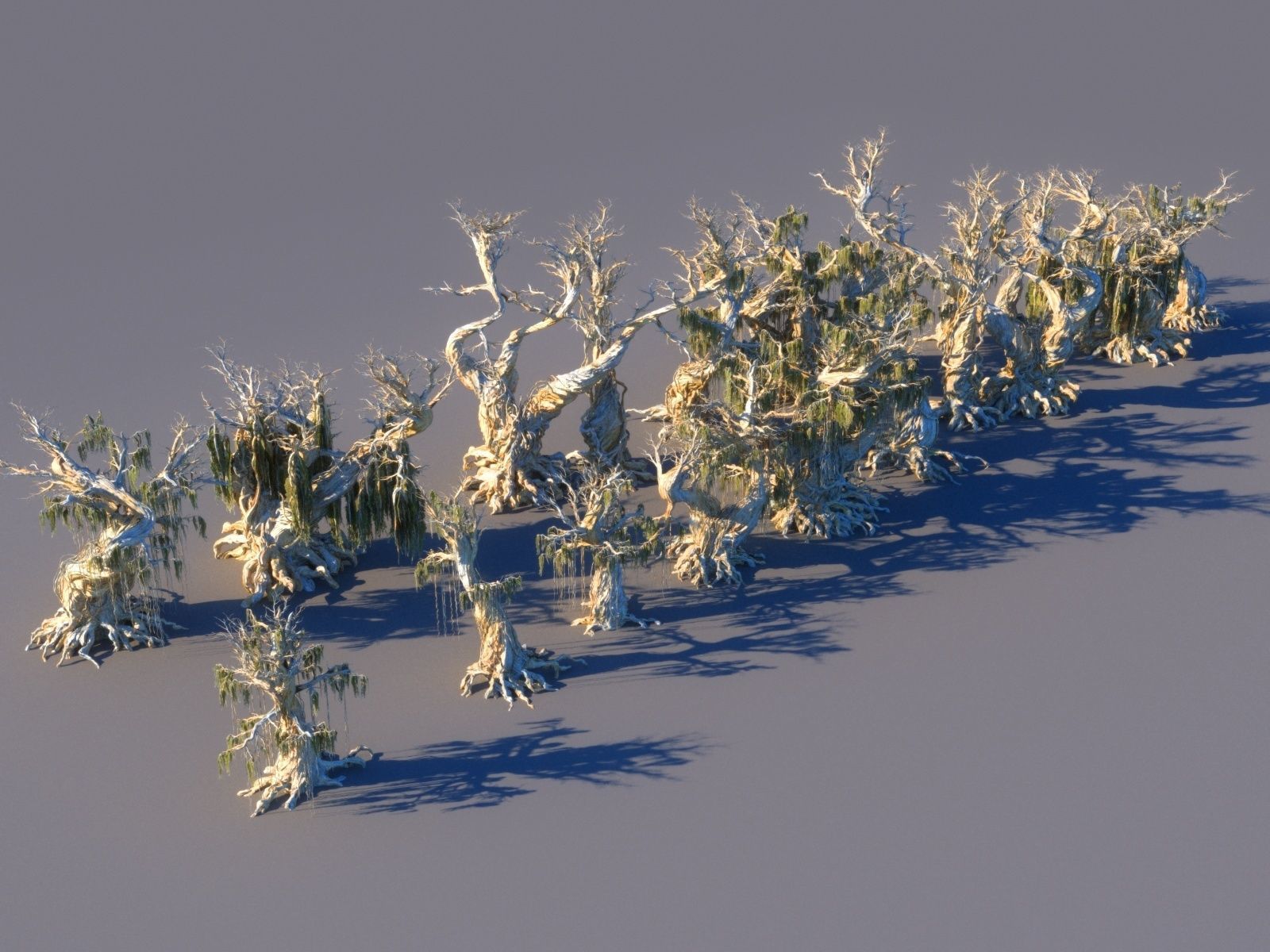 Magic Forest Pack 3D model_3
