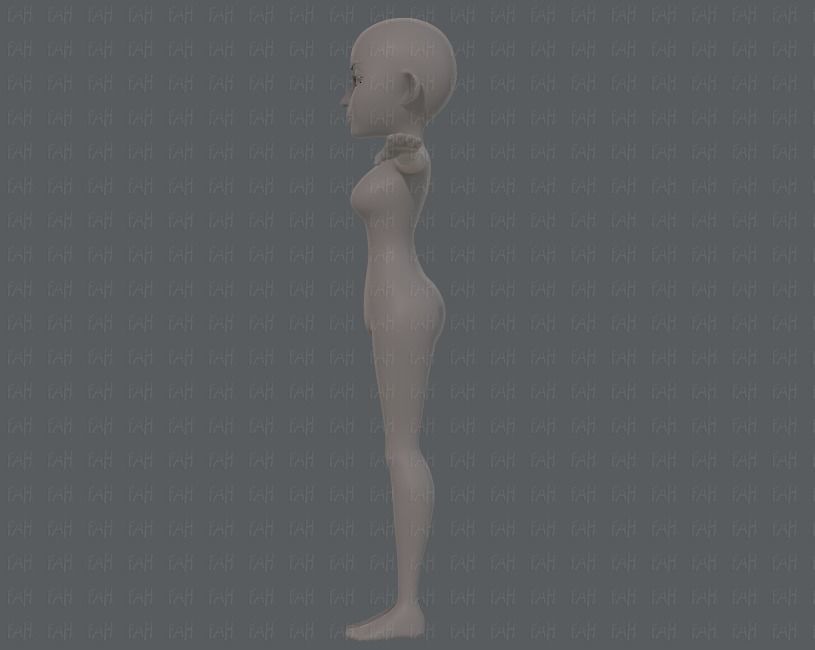 Base mesh woman 14 Low-poly 3D model_7