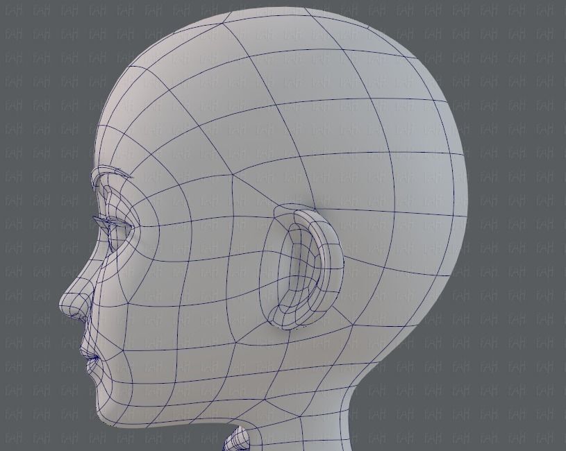 Base mesh woman 14 Low-poly 3D model_40