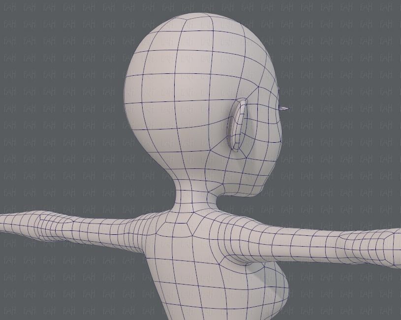 Base mesh woman 14 Low-poly 3D model_28