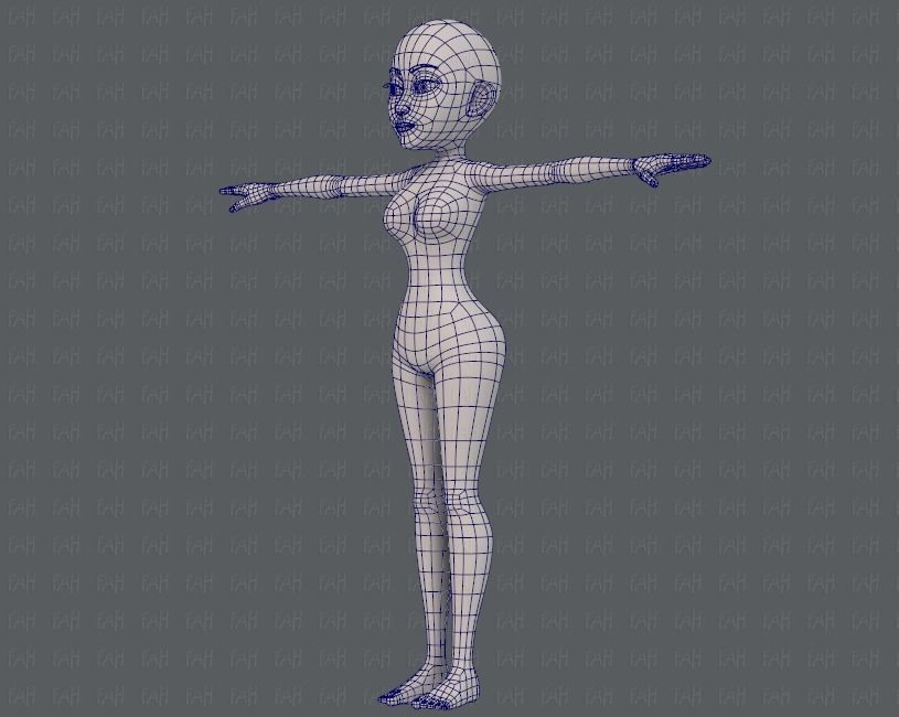 Base mesh woman 14 Low-poly 3D model_16
