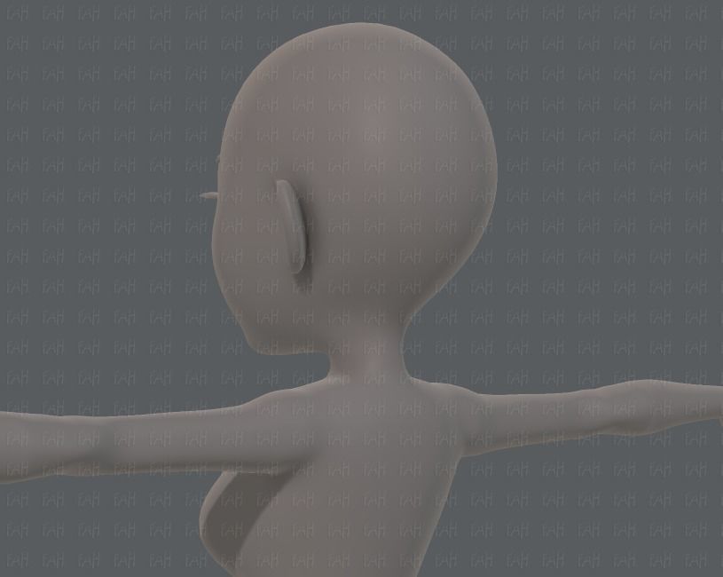 Base mesh woman 14 Low-poly 3D model_22