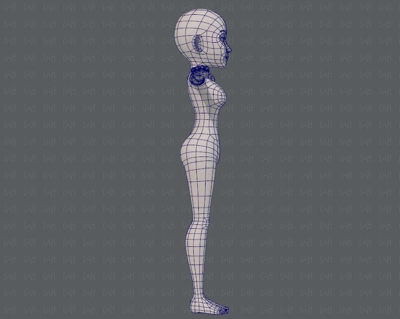Base mesh woman 14 Low-poly 3D model_11