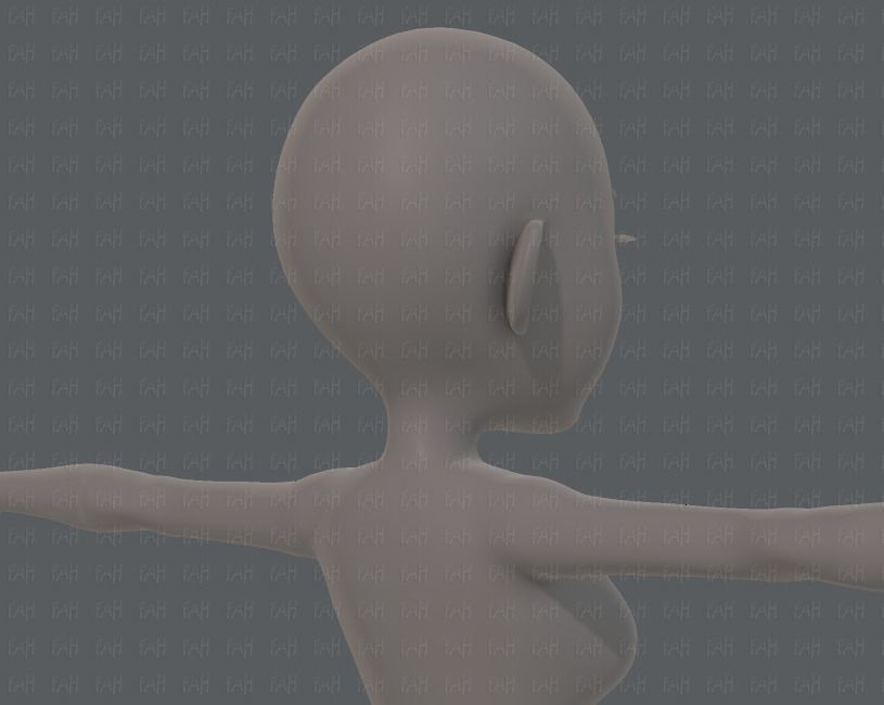 Base mesh woman 14 Low-poly 3D model_20