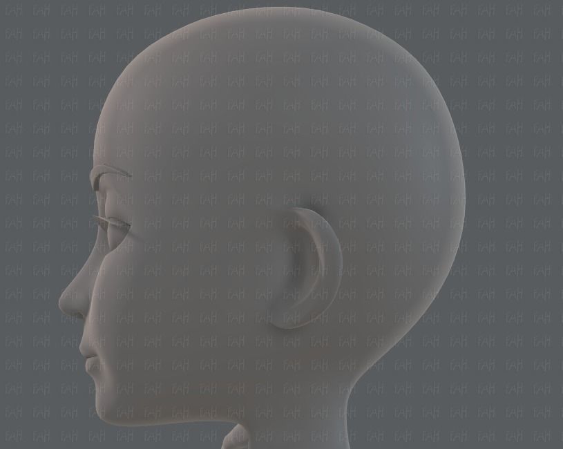 Base mesh woman 14 Low-poly 3D model_39