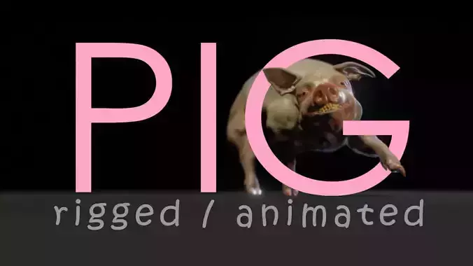Pig animated - Walk Cycle