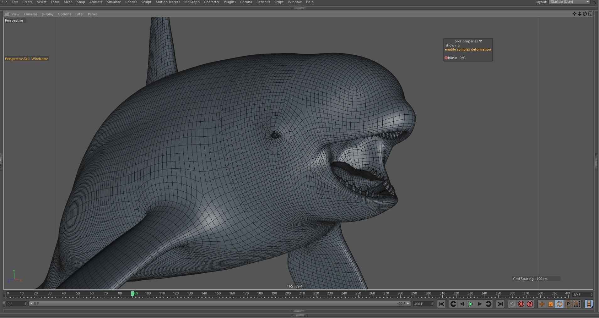 Killer whale rigged and animated for Cinema 4d Low-poly 3D model_18