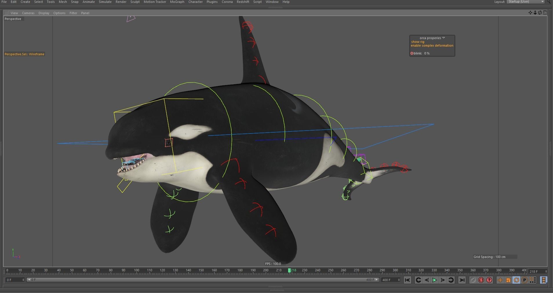 Killer whale rigged and animated for Cinema 4d Low-poly 3D model_16