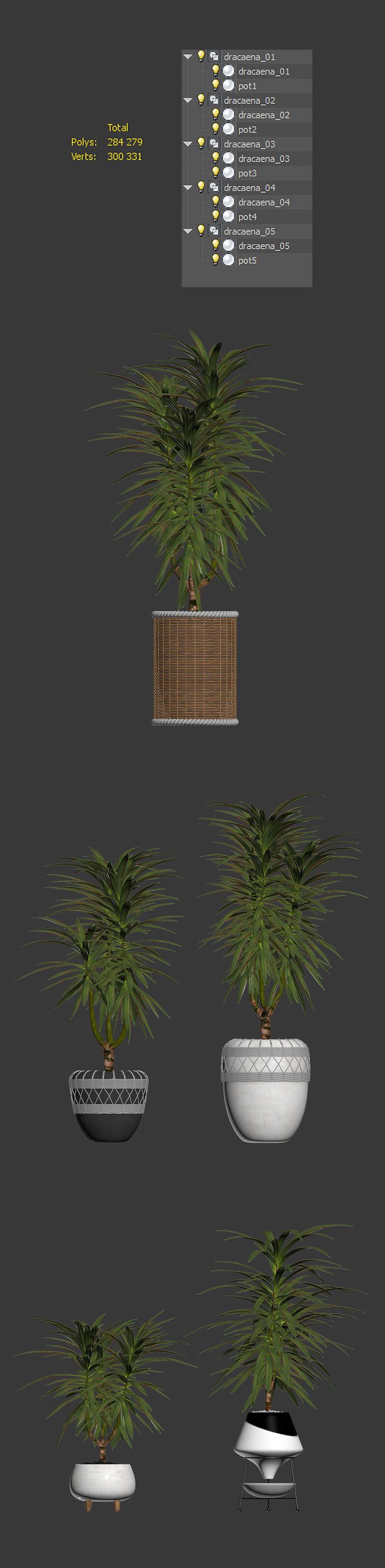 Collection of plants in different pots - Dracaena - 5 models 3D model_11
