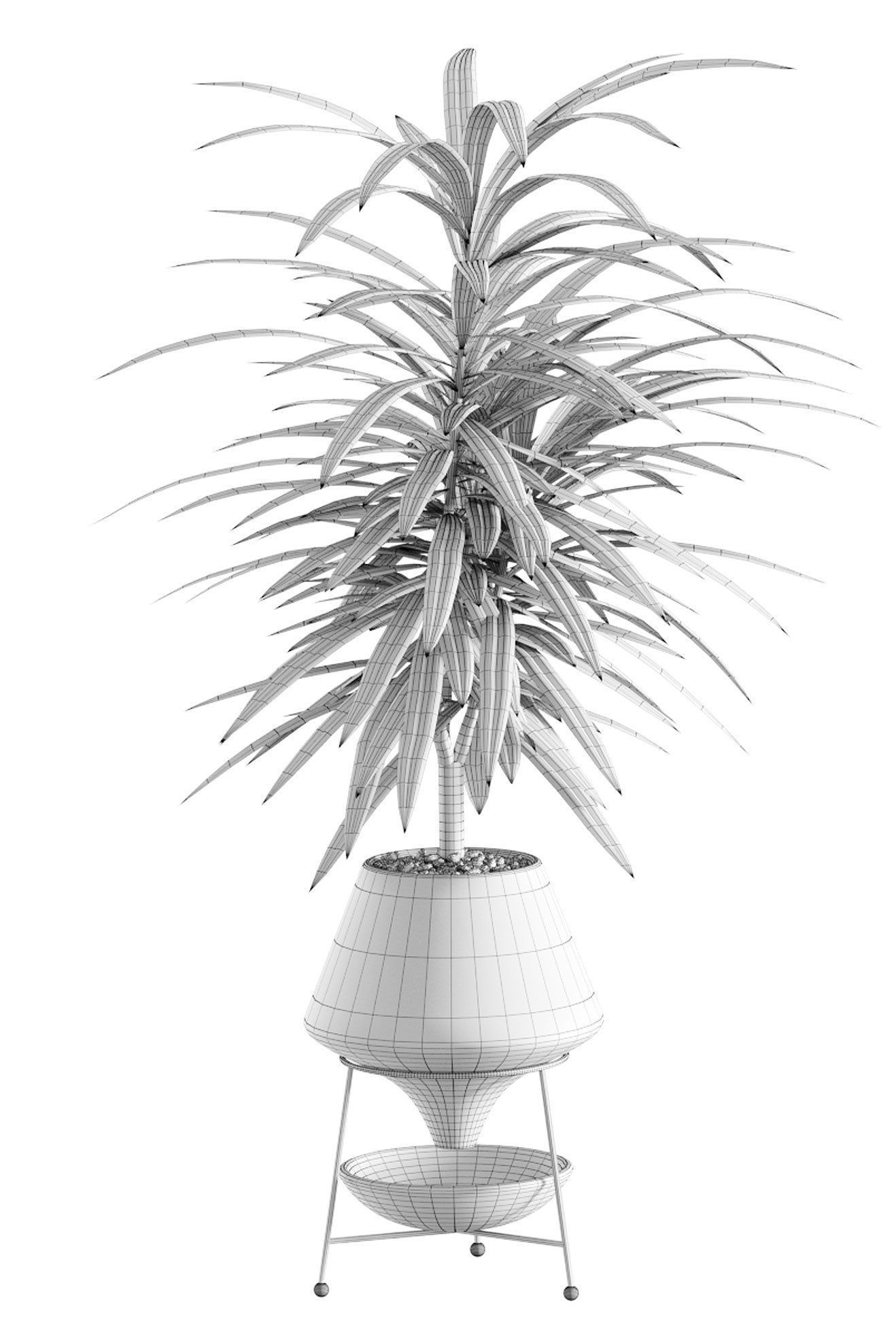 Collection of plants in different pots - Dracaena - 5 models 3D model_4