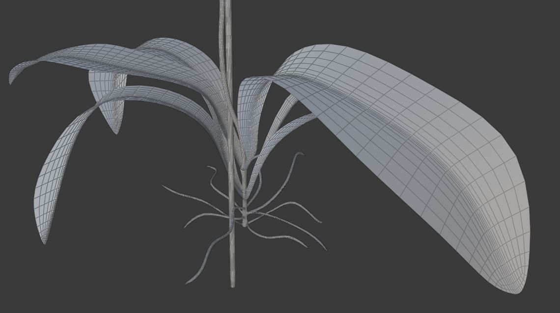 Orchid flower 3D model_3