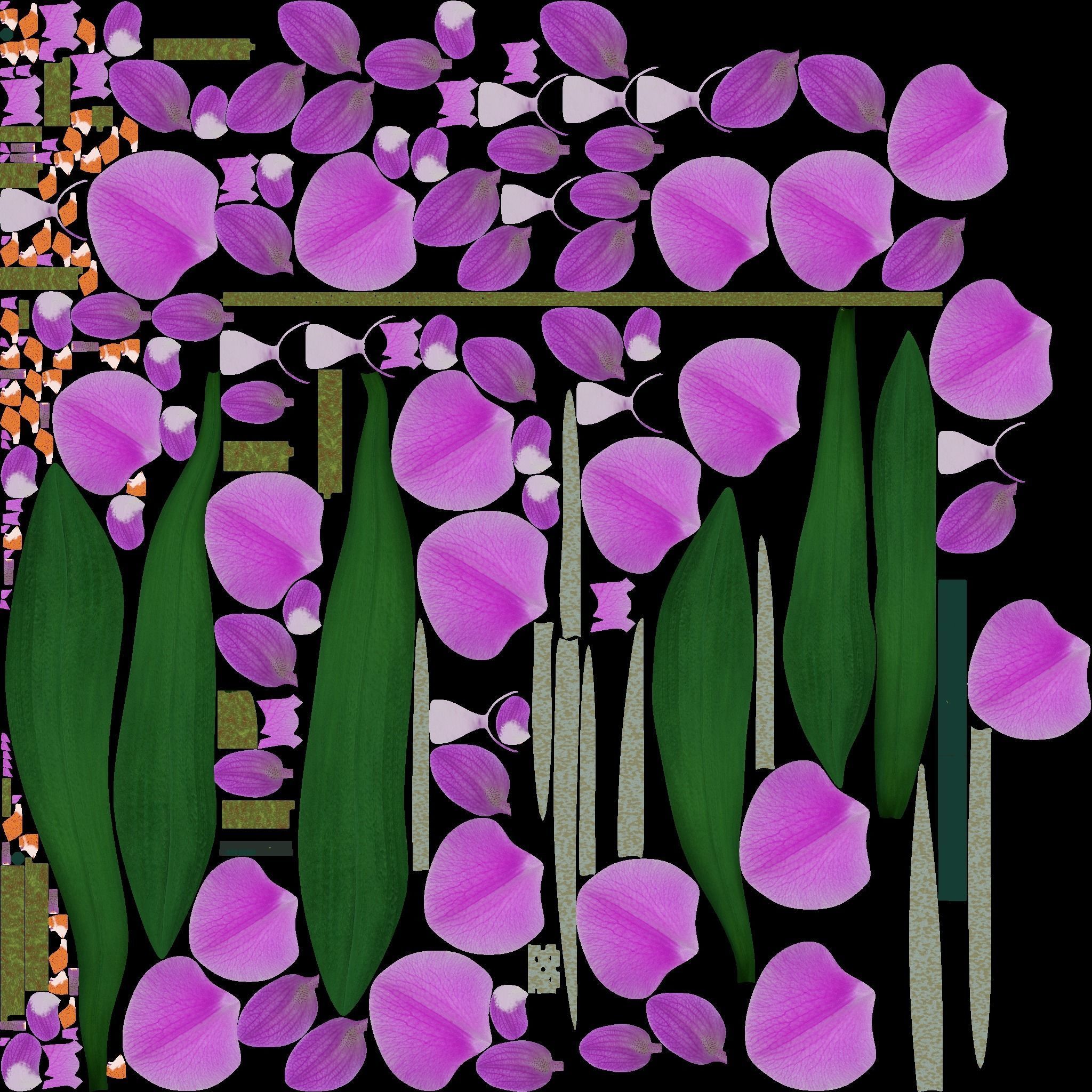 Orchid flower 3D model_9