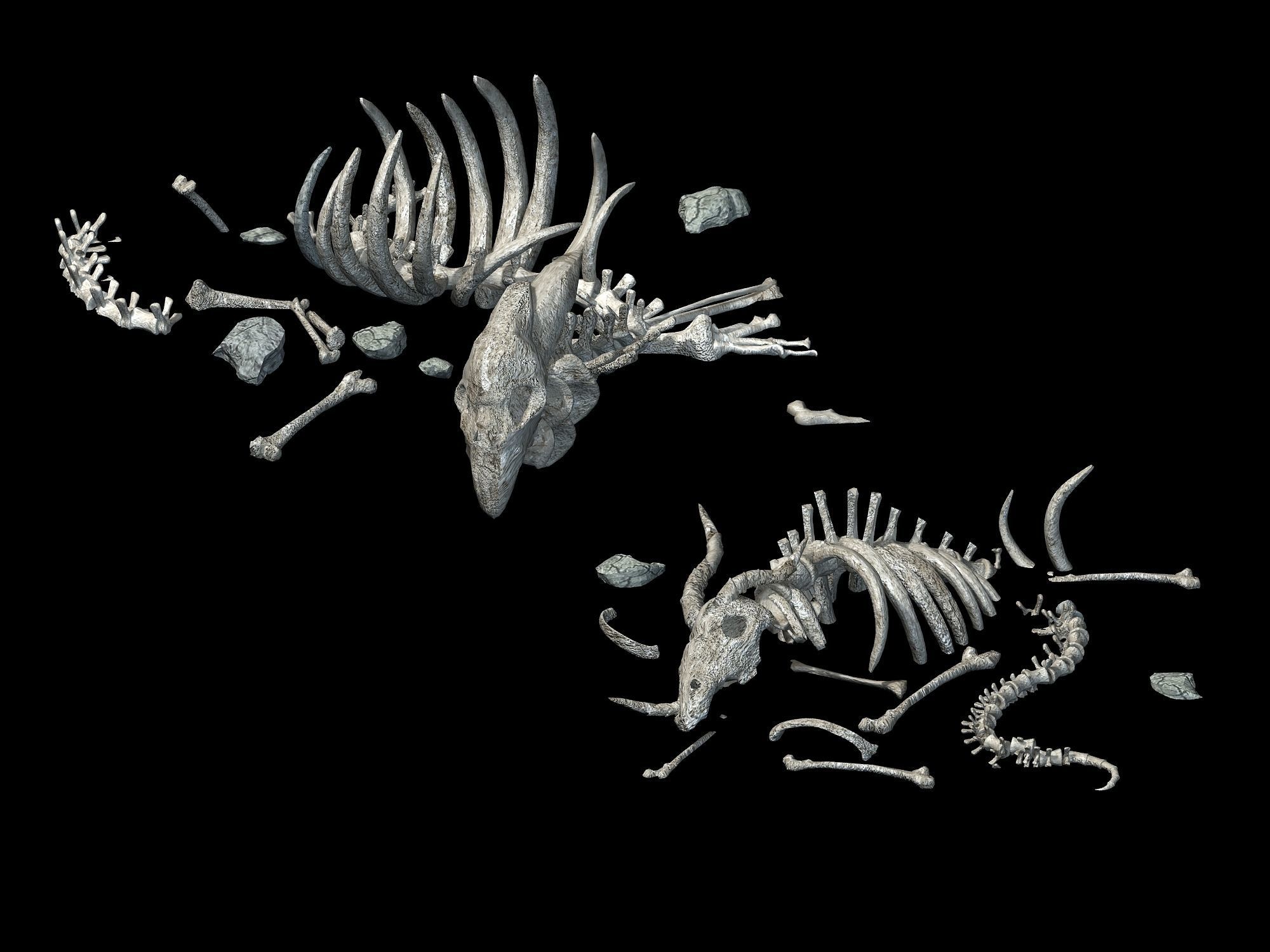 Sea bottom - animal wreckage 06 3D model_1