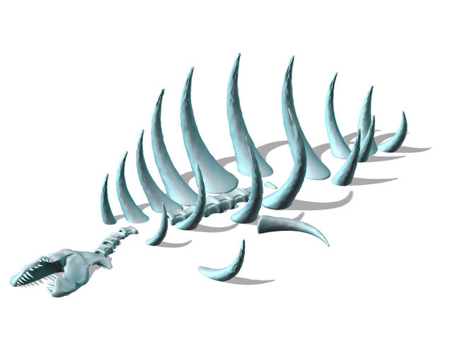 Seabed animal fossil 02 3D model