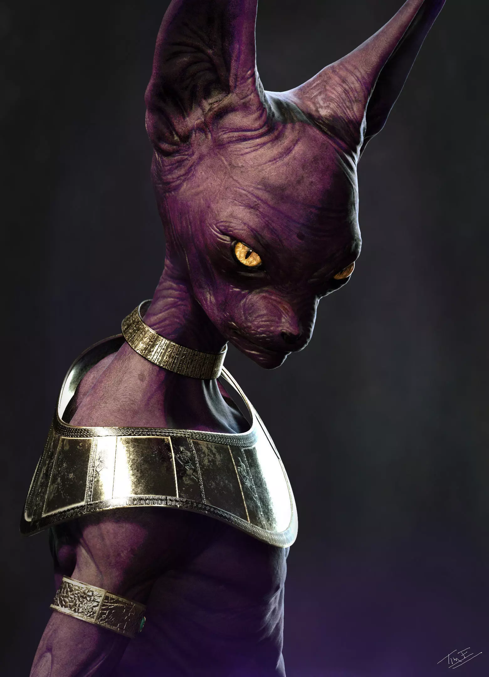 Lord Beerus 3D print model_0