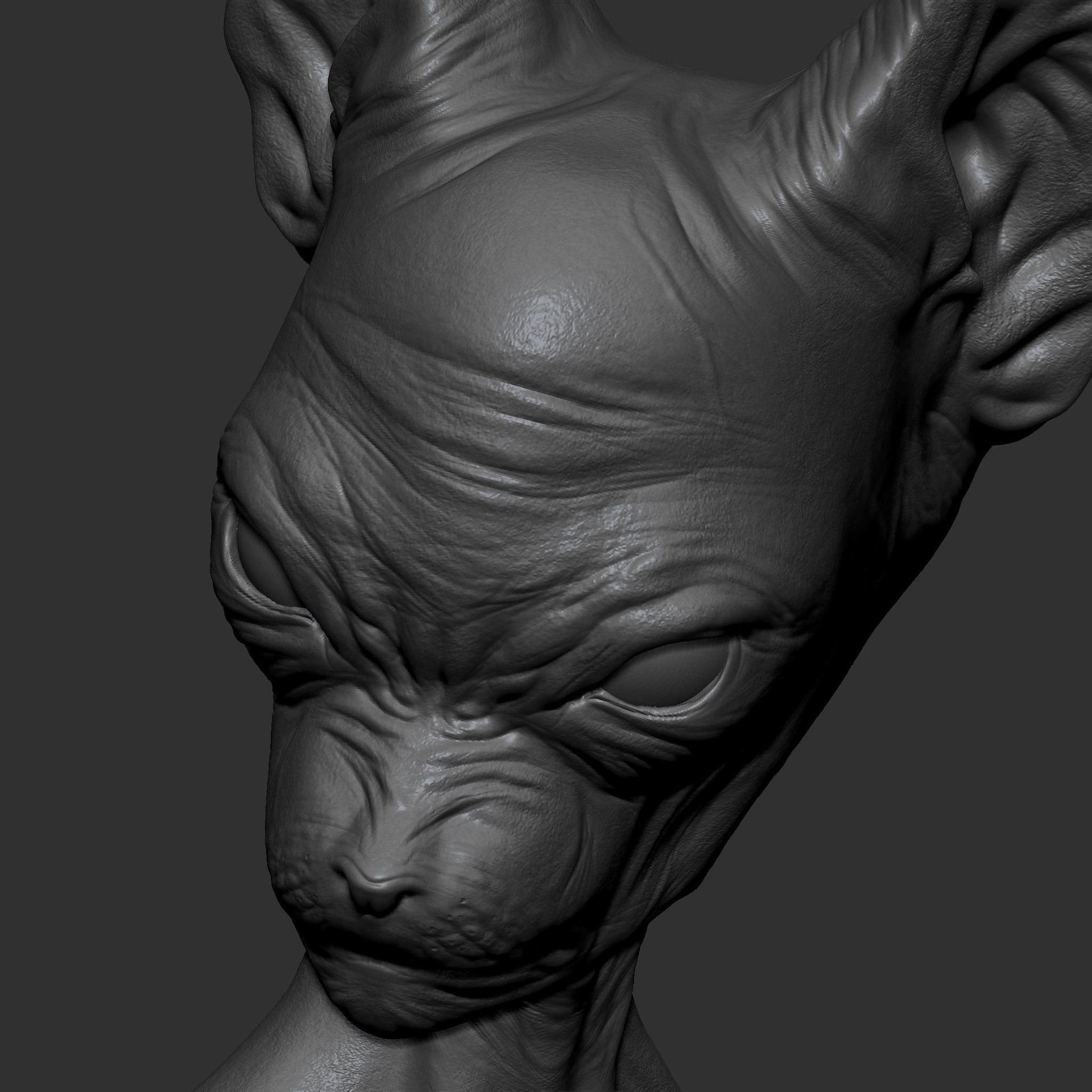 Lord Beerus 3D print model_5