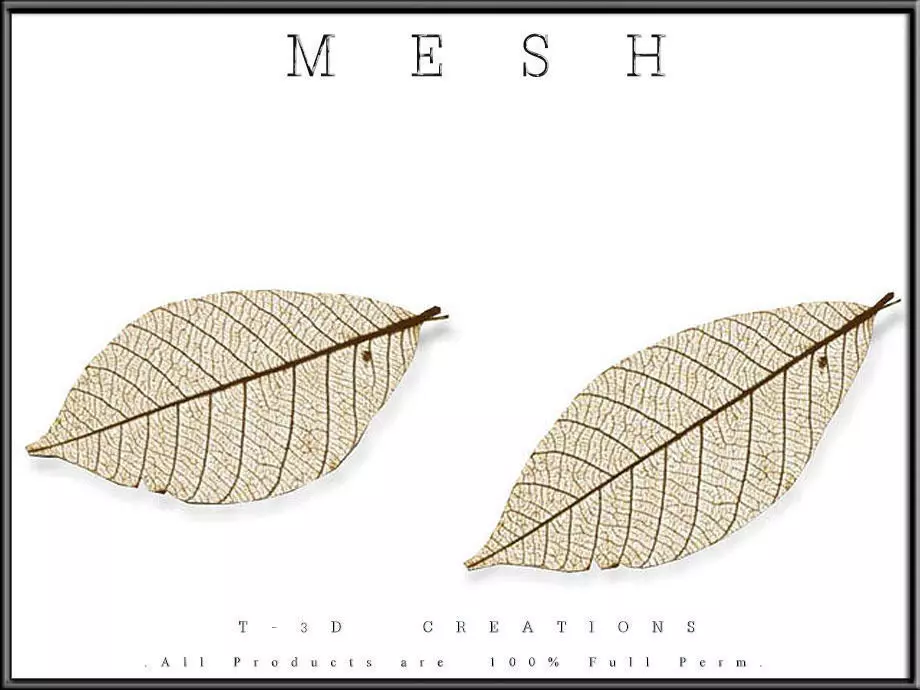 Autumn Leaf 02 Low-poly 3D model_0