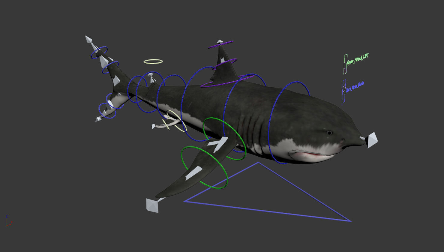Great White Shark Low-poly 3D model_10