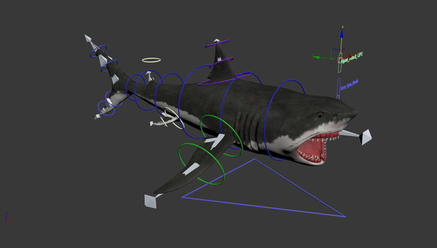Great White Shark Low-poly 3D model_12