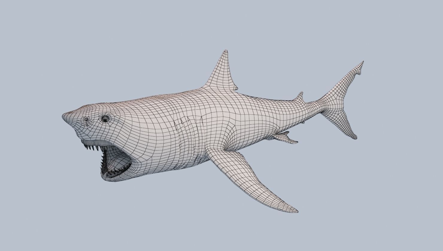 Great White Shark Low-poly 3D model_14