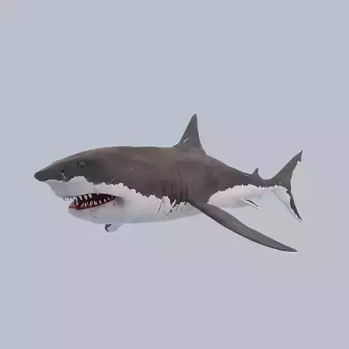 Great White Shark Low-poly 3D model