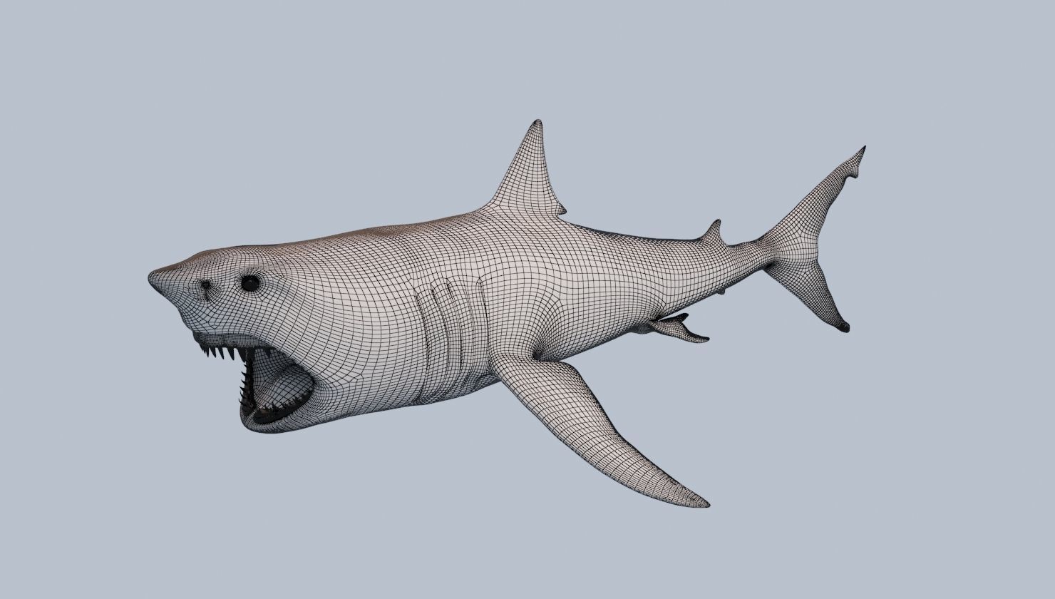 Great White Shark Low-poly 3D model_15