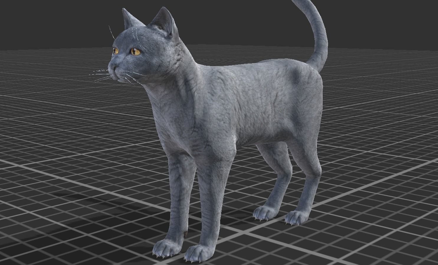 Cat pack 1 Low-poly 3D model_8