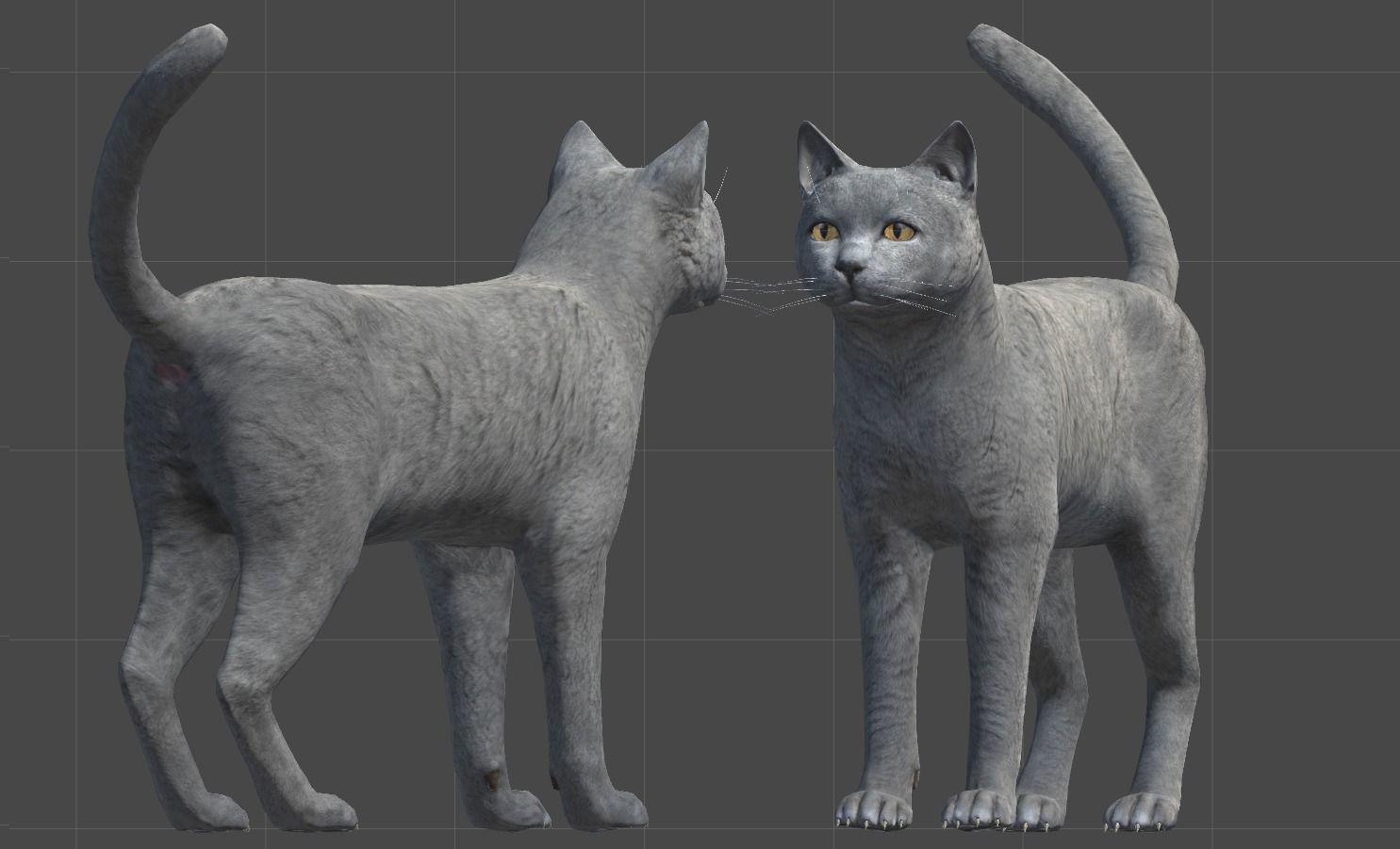 Cat pack 1 Low-poly 3D model_4