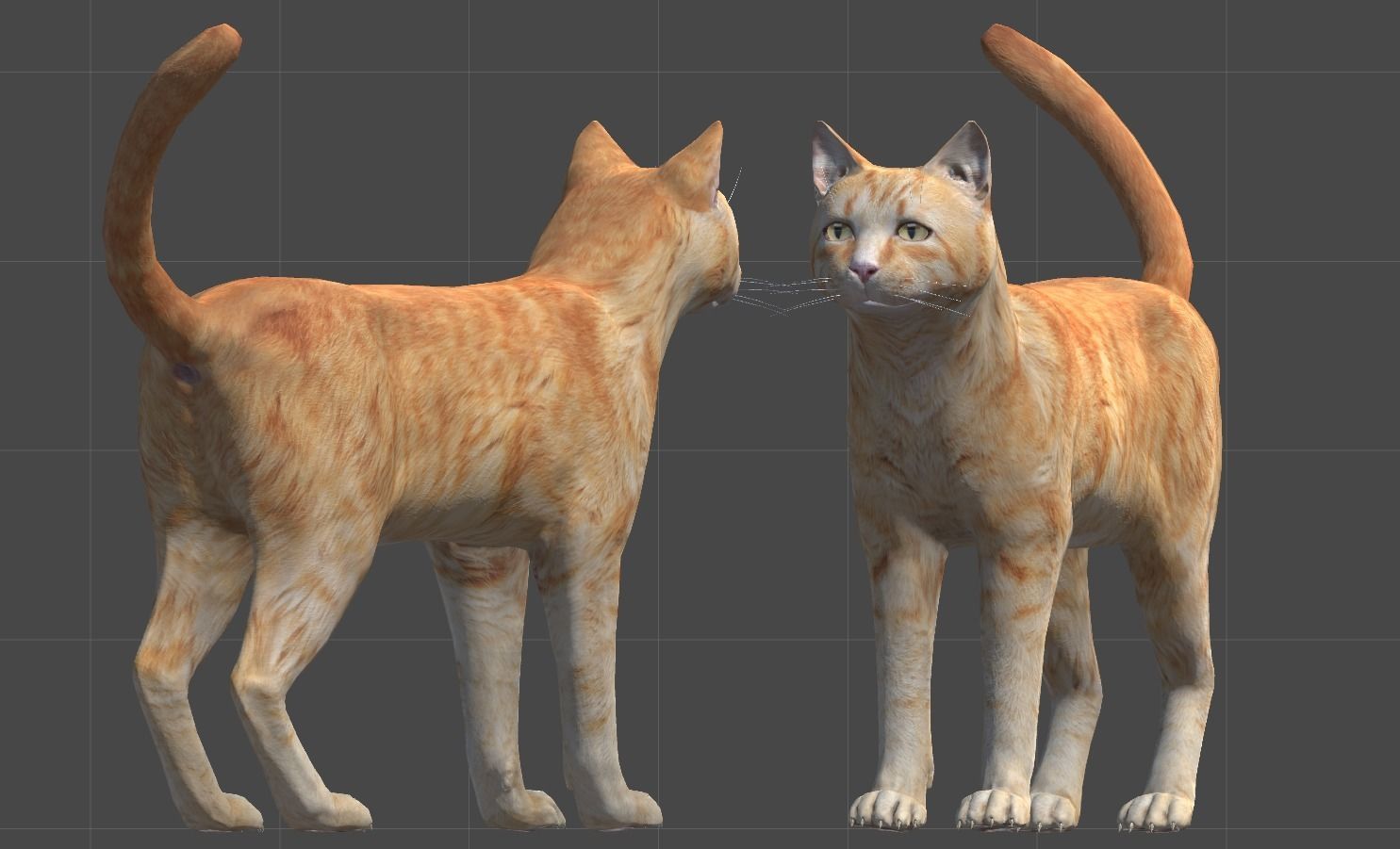 Cat pack 1 Low-poly 3D model_5