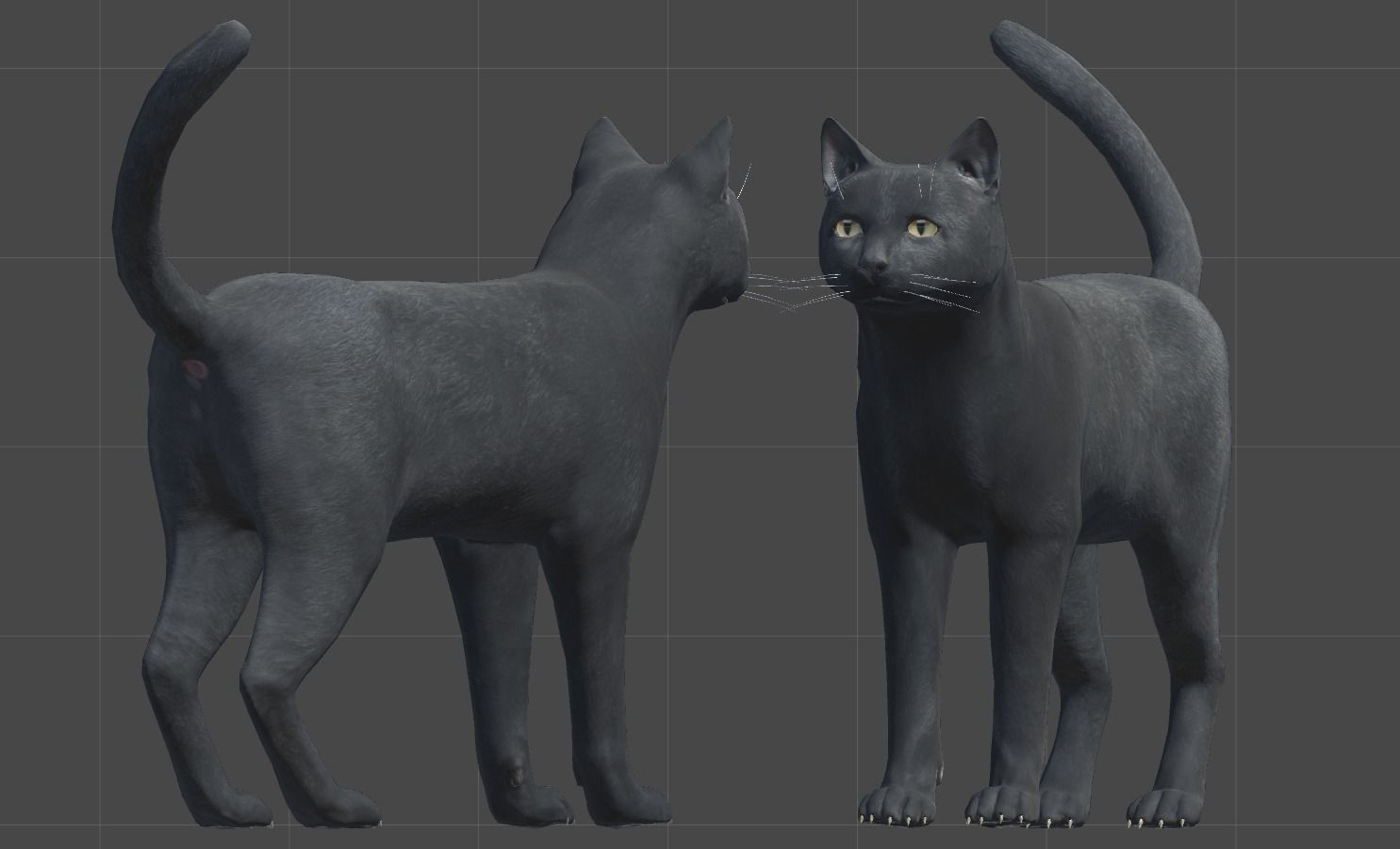 Cat pack 1 Low-poly 3D model_2