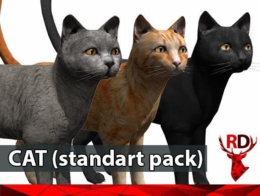 Cat pack 1 Low-poly 3D model_1