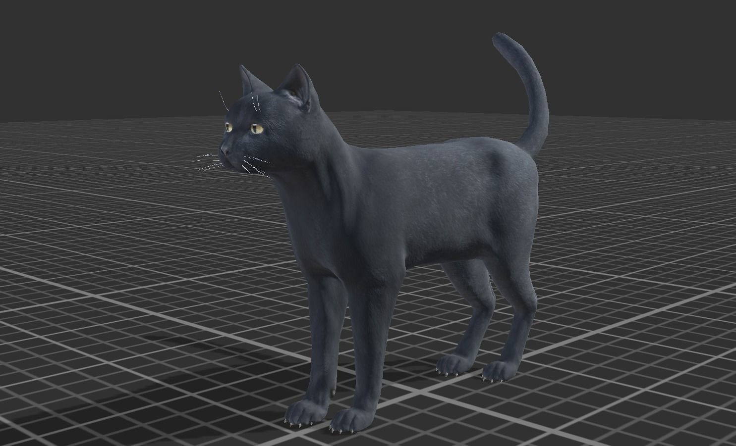 Cat pack 1 Low-poly 3D model_6