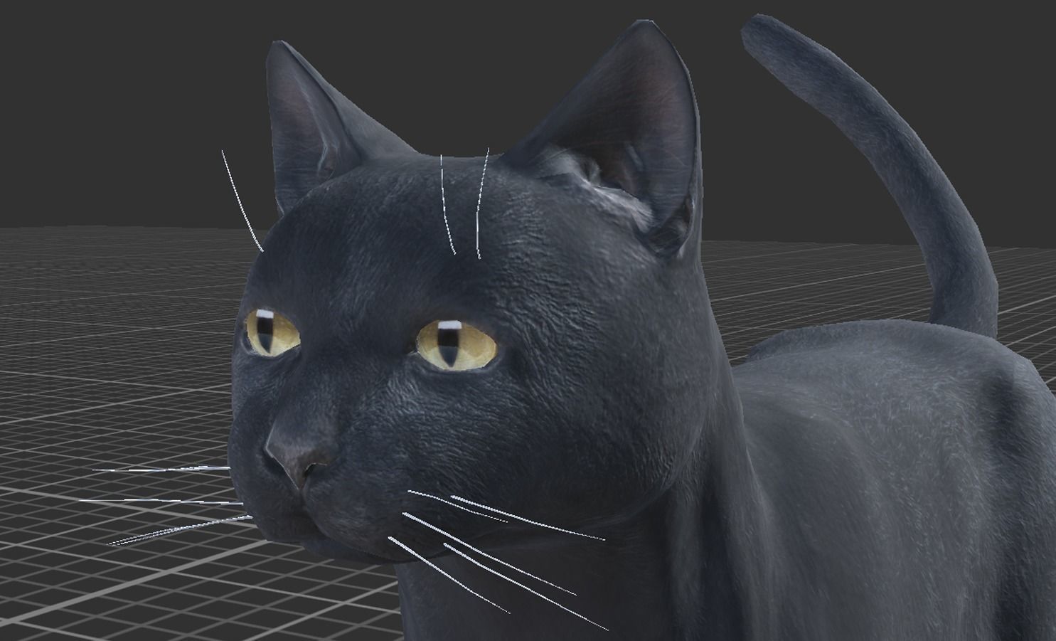 Cat pack 1 Low-poly 3D model_7