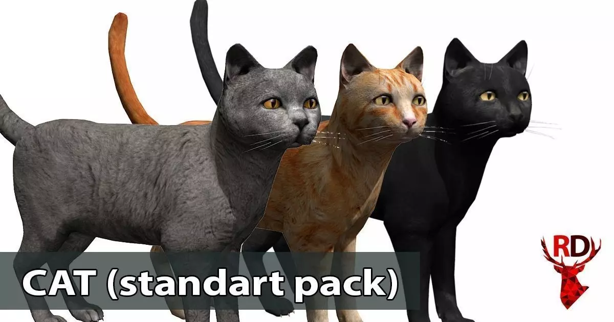 Cat pack 1 Low-poly 3D model_0