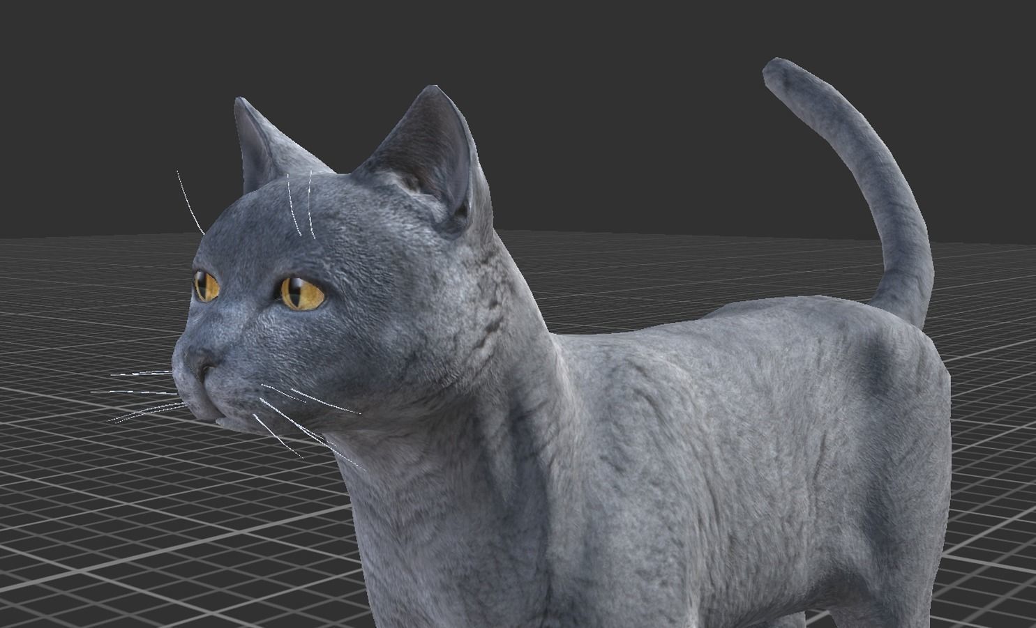 Cat pack 1 Low-poly 3D model_9